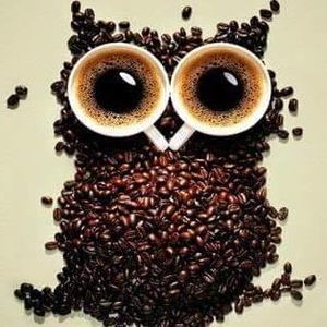 Meet your Posher, Cassie